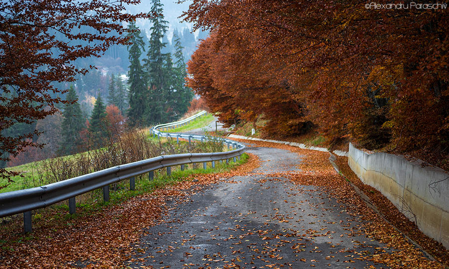 Autumnal perspective