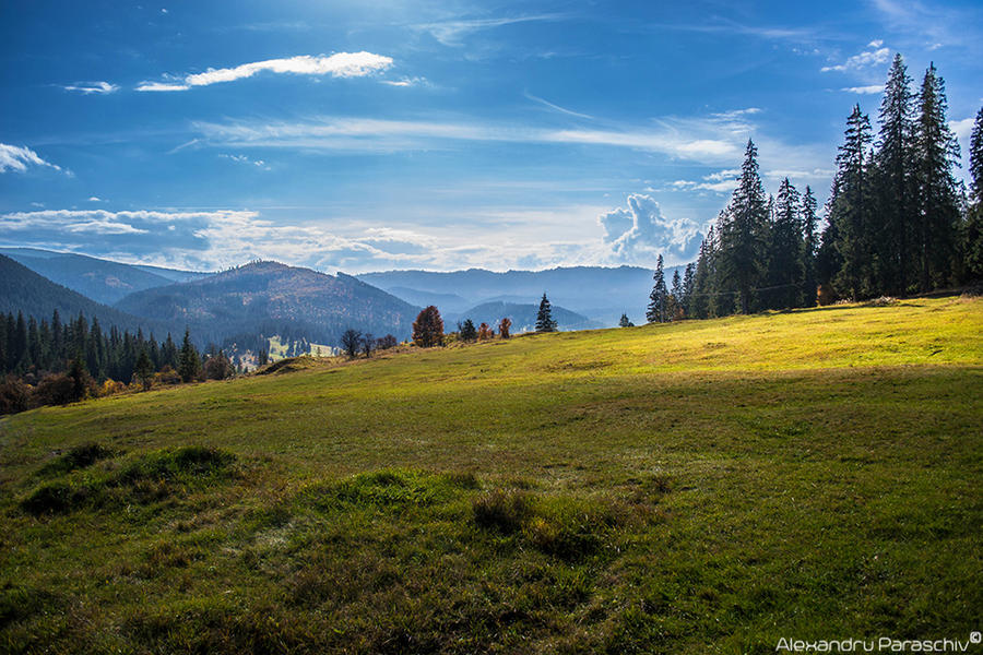 Mountain Bliss