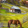 Picturesque Romania