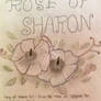 Rose of Sharon