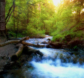 Hanging Lake Trail