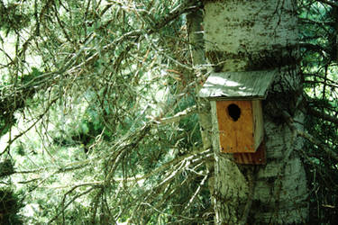 Birdhouse