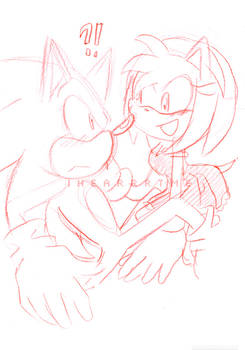 Sonic and Amy