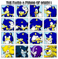 The Faces n' Forms of Sonic