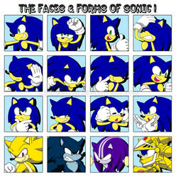 The Faces n' Forms of Sonic