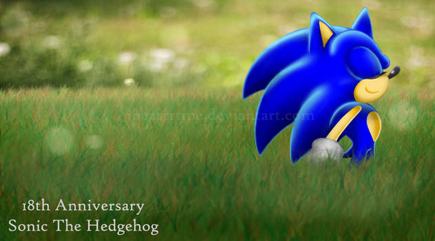 18th Anniversary Sonic