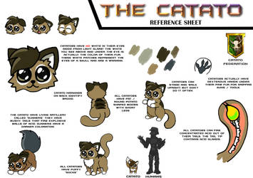 Catato Reference Sheet