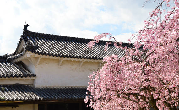 Walls of Himeji Castle