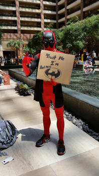 Batpool Panel Explore the Best Batpool Art | DeviantArt