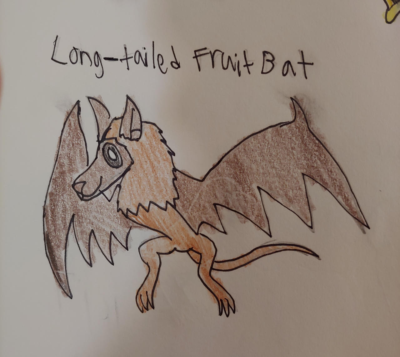 Aapi Fruit AAPI Day 11: Long-tailed Fruit Bat by Bioian123 on DeviantArt