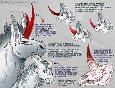 Unicorns' unique horns study