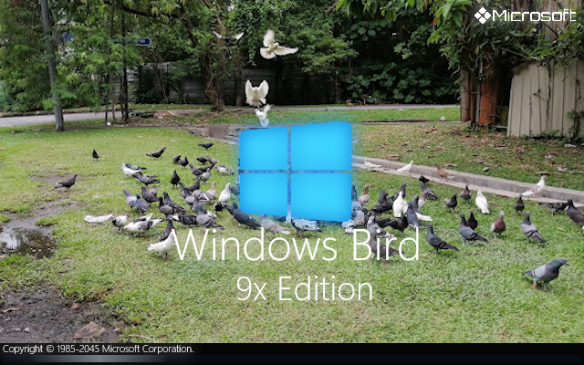 Windows Bird (2045) 9x by jeatloh on DeviantArt