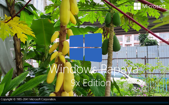 Windows Papaya (2041) 9x by jeatloh on DeviantArt
