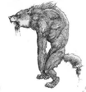 Werewolves not swear-wolves