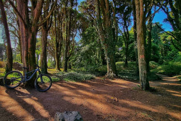 The drought - Monge, Sintra