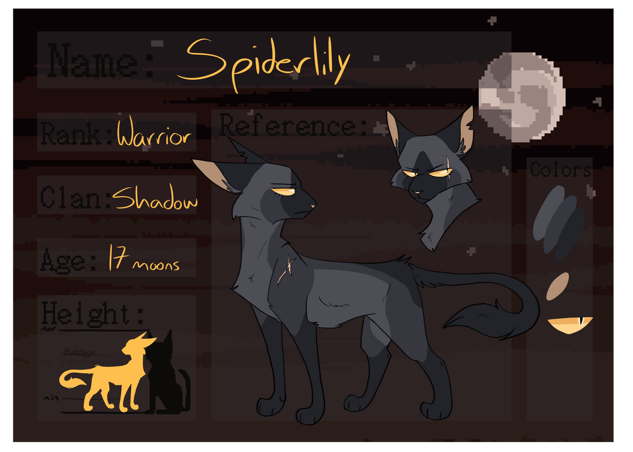 Why Are all these cats Breaking the Warrior code? by Buff-Spud on DeviantArt