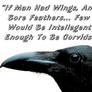 If Man Had Wings....