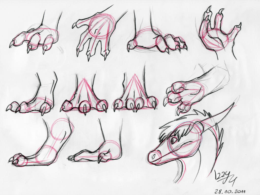 Dragon hands and feet Tutorial by Natsuakai on DeviantArt