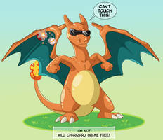 MC Charizard