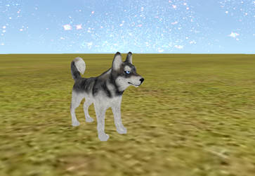 FeralHeart Husky Mesh **DOWNLOAD**