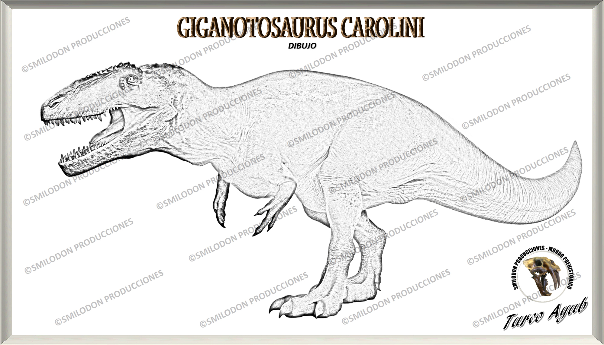 Giganotosaurus carolini (Dibujo) por Turco Ayub by TurcoAyub on DeviantArt