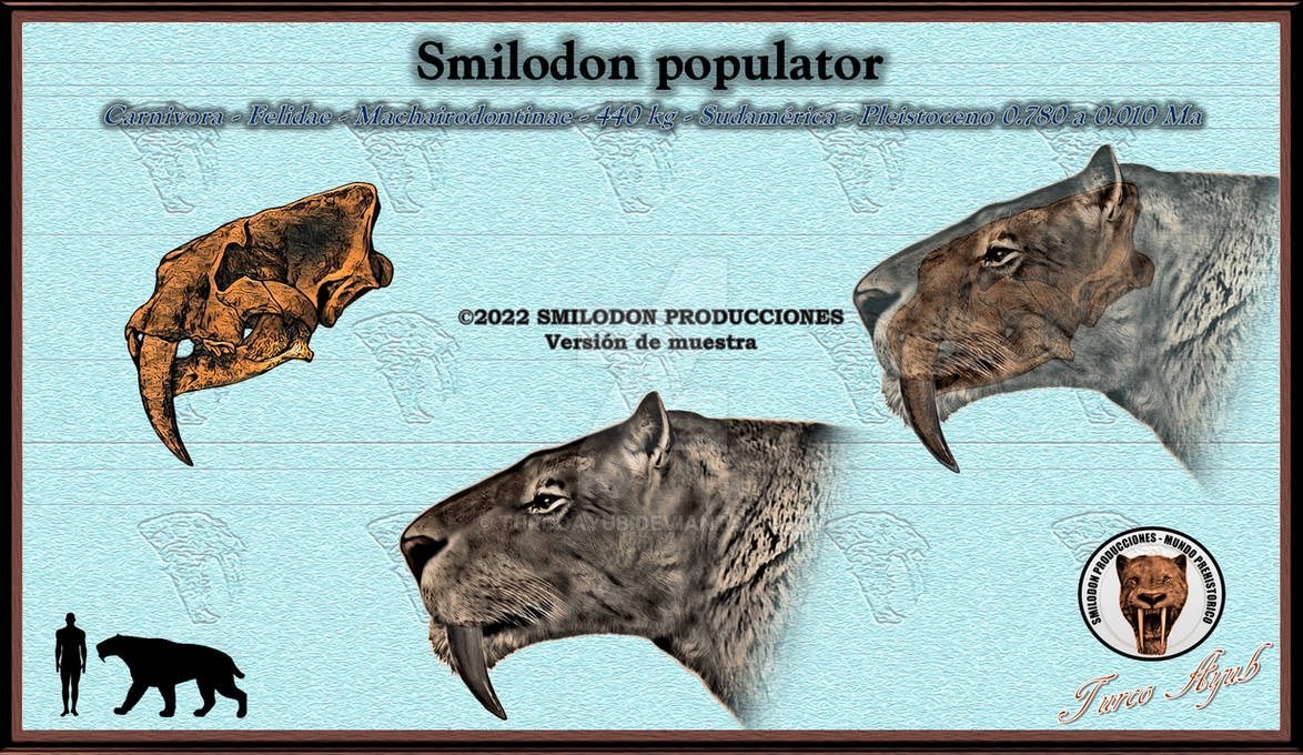 Smilodon populator by TurcoAyub on DeviantArt
