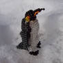 Beaded Emperor Penguin