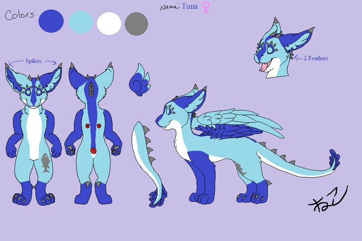 Tuna the Dutch Angel Dragon Reference Sheet