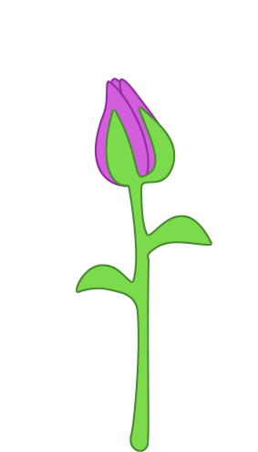 Simple Animated Blooming Flower by Vesperius on DeviantArt