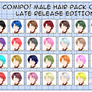 Male Hair Pack - 004