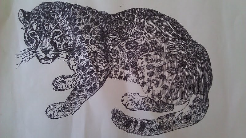 Jaguar...meow