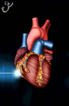 Explore The Best Anatomygif Art DeviantArt explore-the-best-anatomygif-art-deviantart