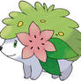 New Shaymin Artwork