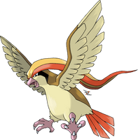 Pidgeot