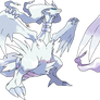 Reshiram v.3