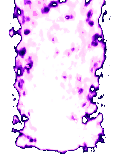 Fire Gif by briandepaso1 on DeviantArt