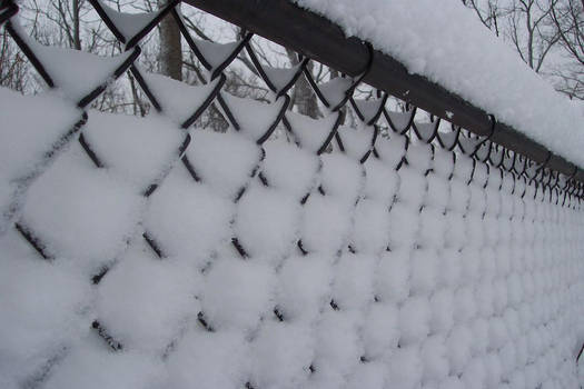 snowy fence