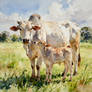Brahman Cow and Calf in Watercolors