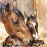 First Moments Mare and Newborn Foal Watercolor