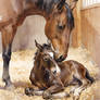 Tender Beginnings Mother Foal Watercolor Art