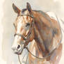 Ready To Show - Hunter Quarter Horse In Watercolor