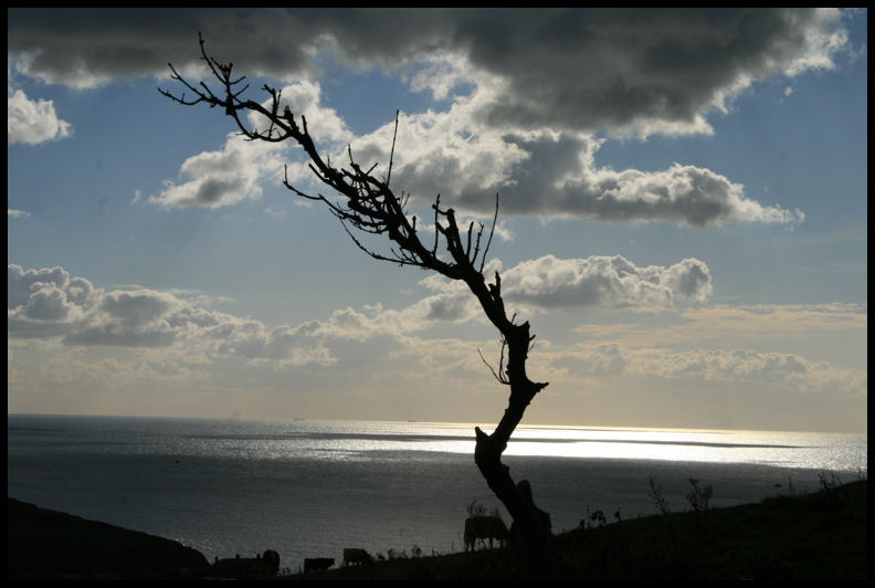 View To sea