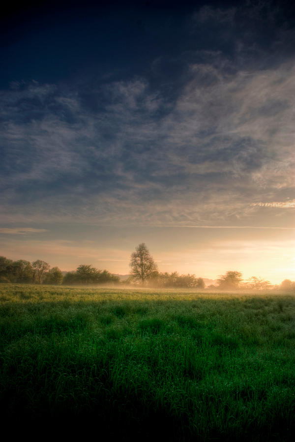 Early rising VIII by Allegoria-Images on DeviantArt