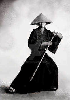 the simple samurai