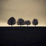 Tree II by Sblourg