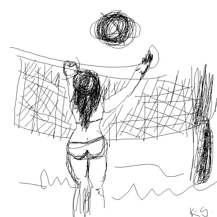 Doodle 'Volleyball'