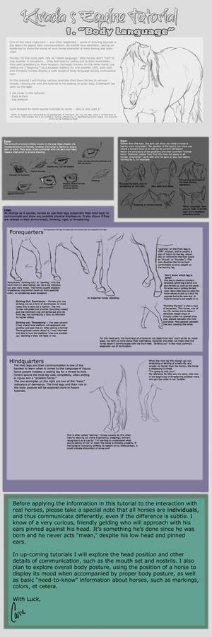 Equine Basic Body Language 1
