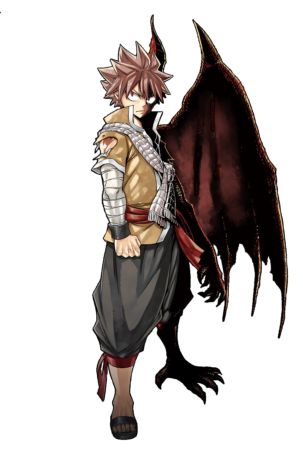 Dragon cry Natsu. Half dragon form.