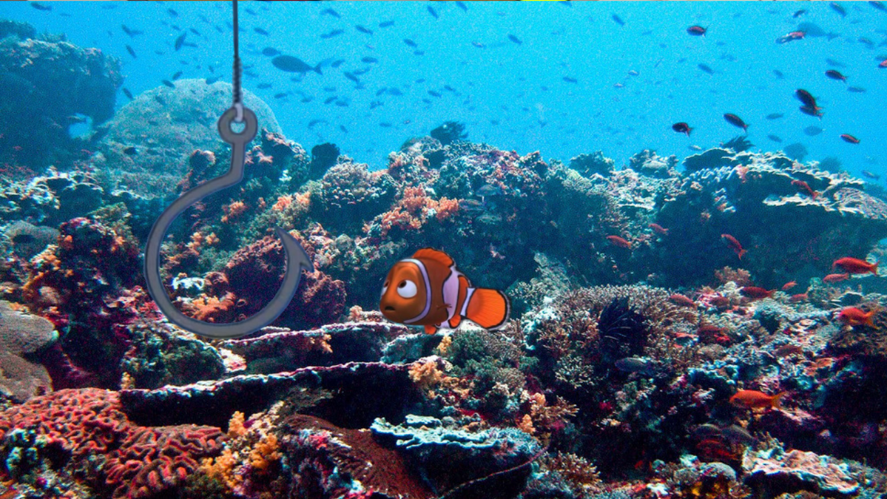 Socket Nemo Hooking Nemo by AntonioenjoyToyStory on DeviantArt
