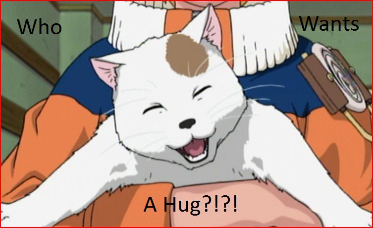 Naruto's hugging cat